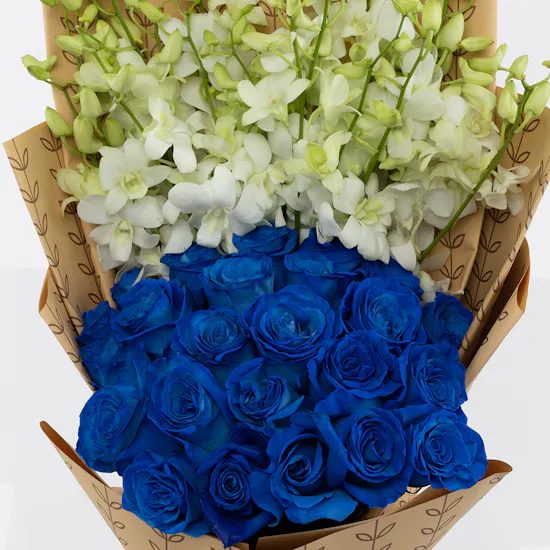 Exotic Blue Roses