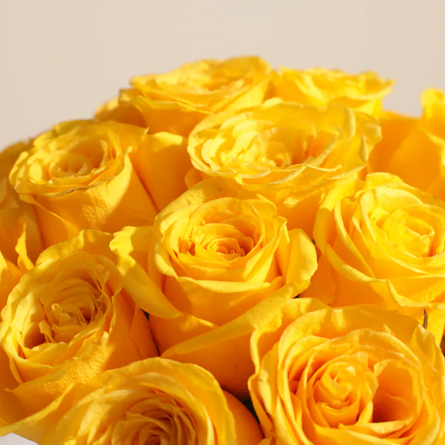 Golden Bliss Vase | 25 Roses 4