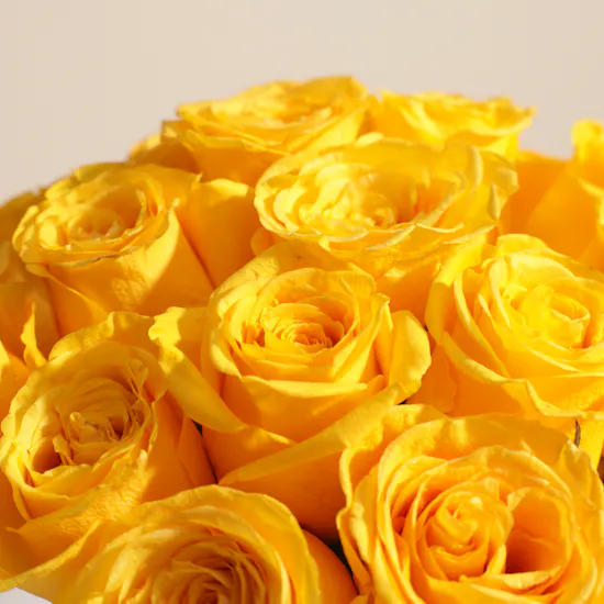 Golden Bliss Vase | 25 Roses