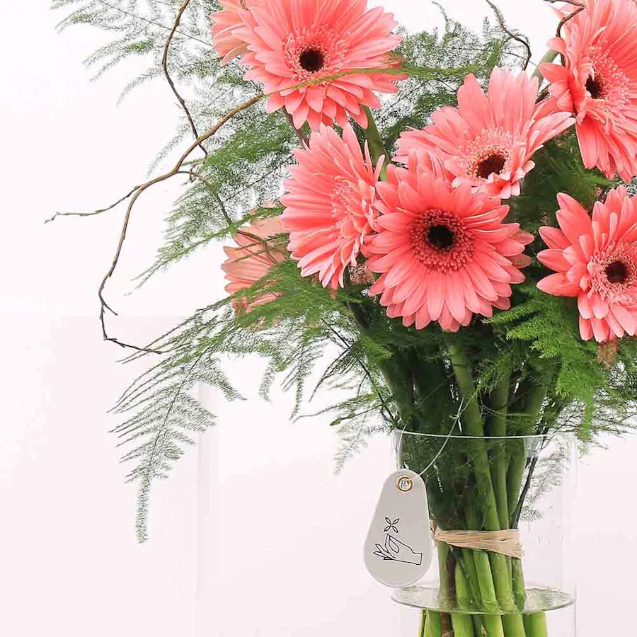 15 Pink Gerbera | Cylinder Vase 3