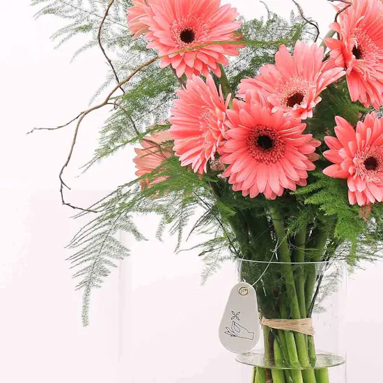 15 Pink Gerbera | Cylinder Vase