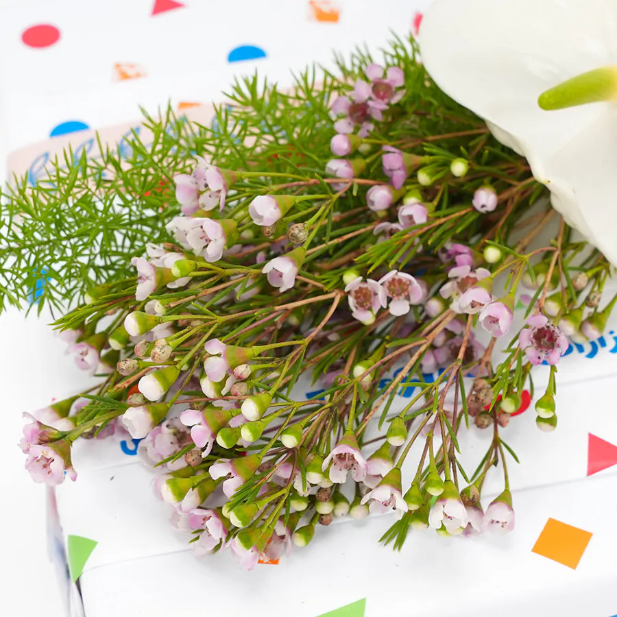 Intex Cupcake Mat | Flowers 3