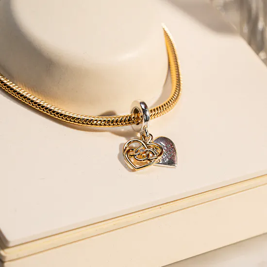 Pandora Moments Charm & Bracelet Set | Red Roses