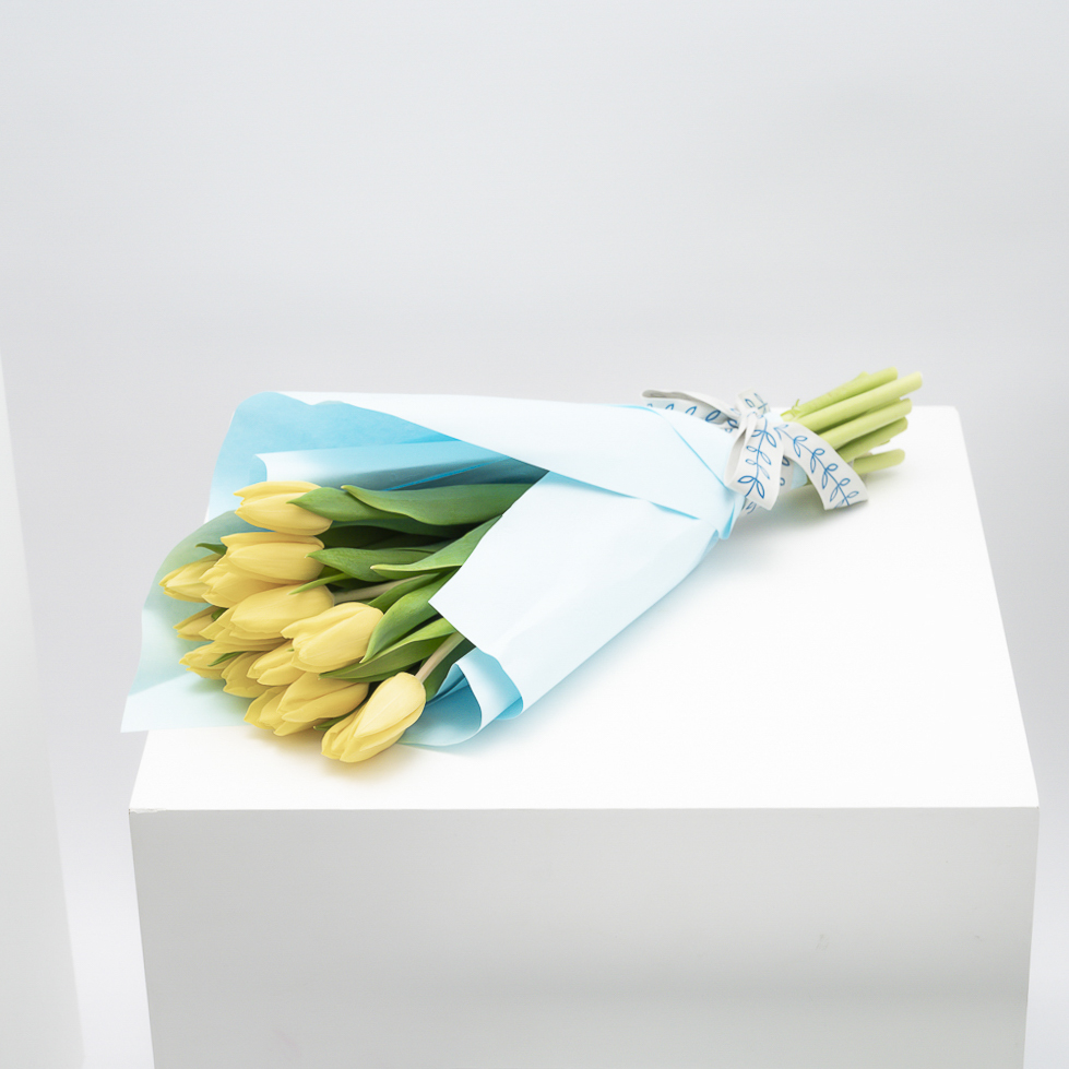 باقة توليب مشرقة