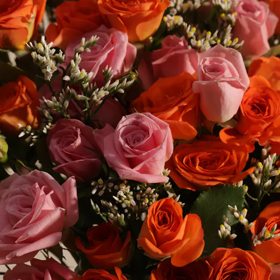 New Year's Enchanting Baby Rose Box