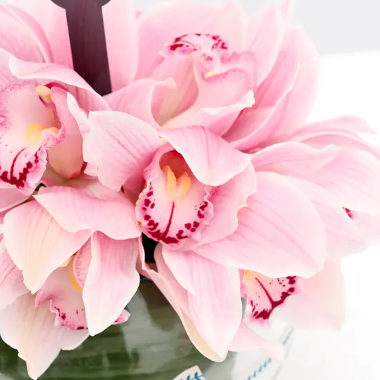 10 Pink Cymbidiums Wedding Vase