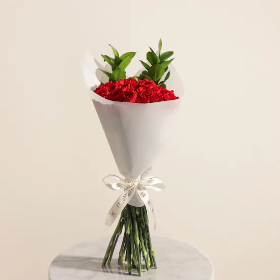 Love Carnations Bouquet | 25 Flowers