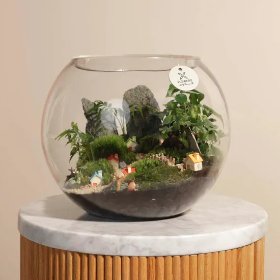 Small Town Terrarium Vase