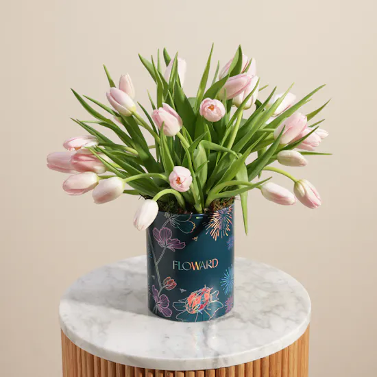 Gentle Pink Tulip Box | 30 Flowers