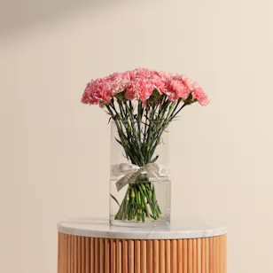 Elegant Pink Carnation Vase