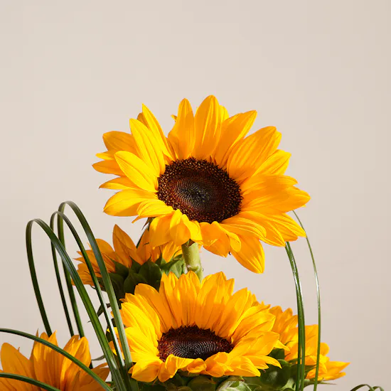 Cheerful Sunflowers Vase