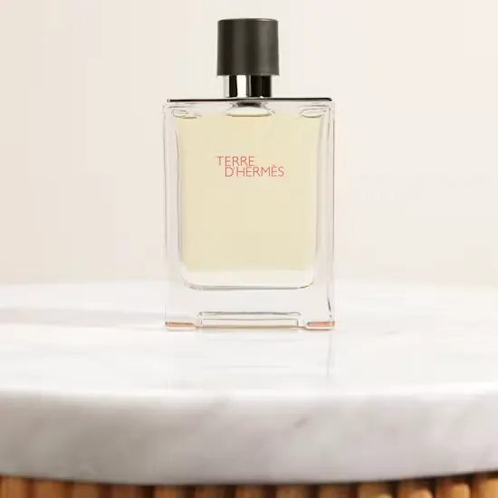 Hermès Terre D'Hermès EDT for Men | 100 ml