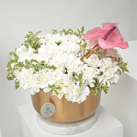 Carnation & Anthurium | Gold Vase