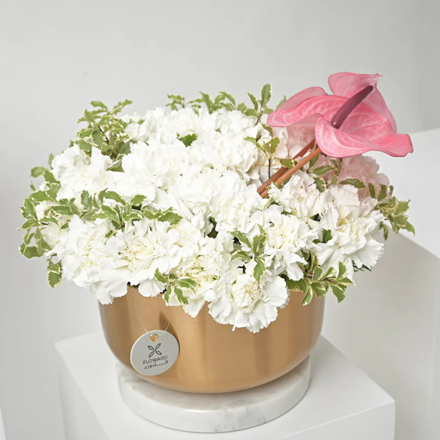 Carnation & Anthurium | Gold Vase 2