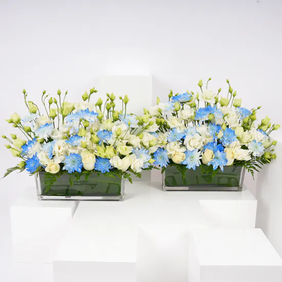 New Baby Reception Duo