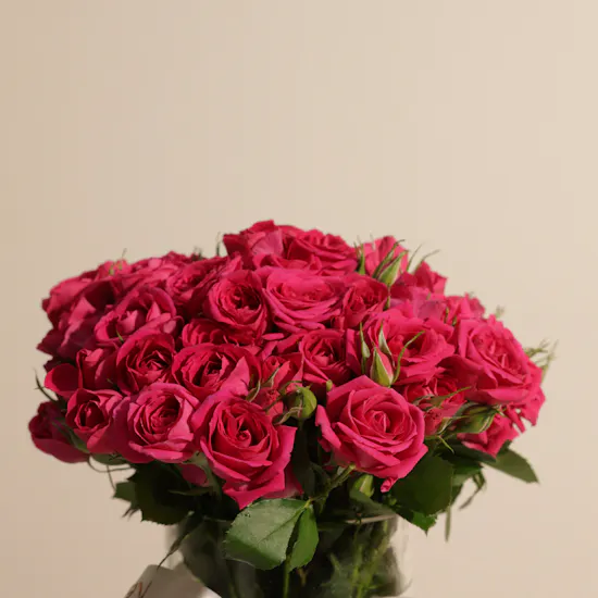 Stunning Fuchsia Baby Roses Vase | 18 Flowers