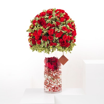 Maroon Flowers | Glass Vase