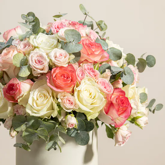 Blushing Petals Roses Box