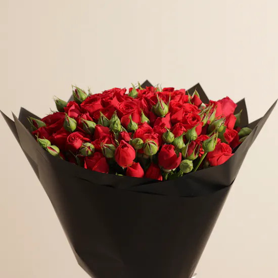 Majestic Red Bouquet | 25 Flowers
