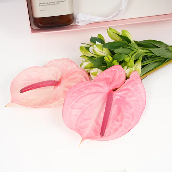 The Face Shop Beyond Total Recovery Body Set | Light Pink