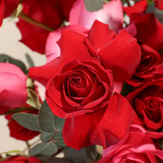 Congratulation on Graduation Pinkish Flowers Vase