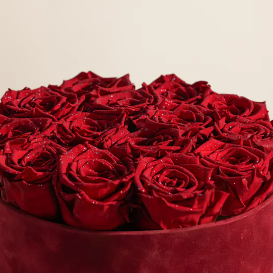 Stunning Preserved Red Rose Velvet Box