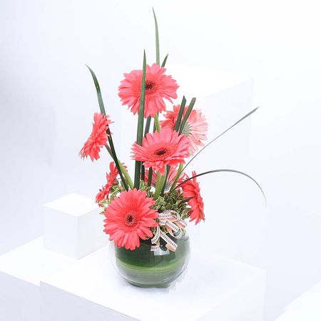 Pink Cheerful Gerbera Vase