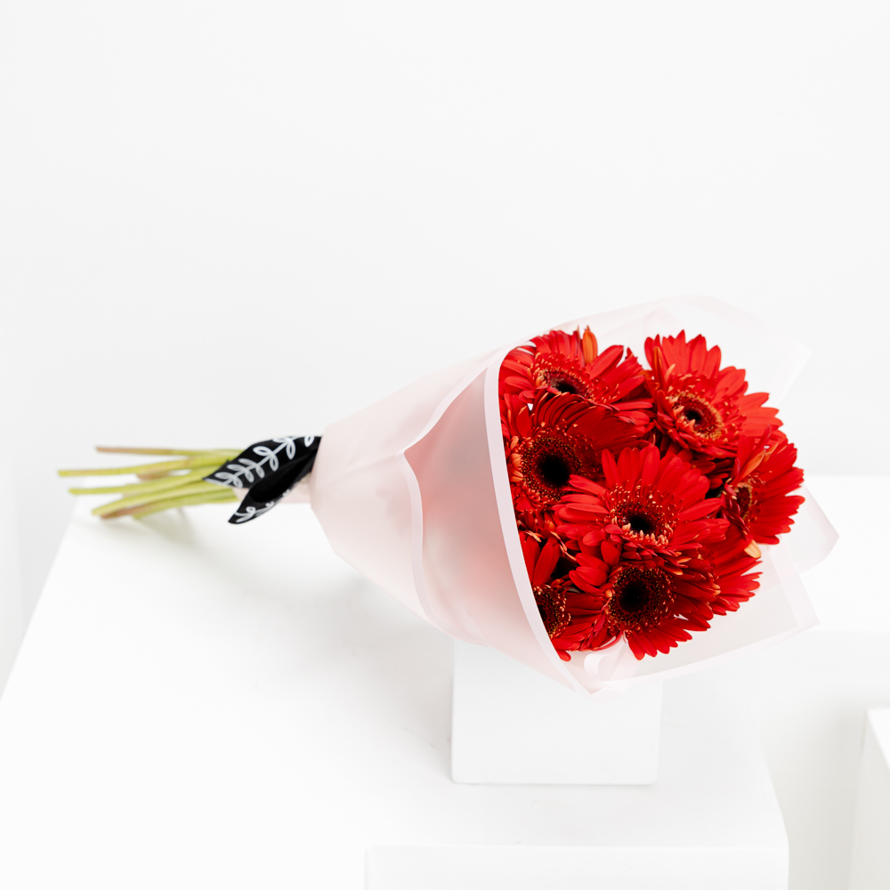 15 جربارة حمراء | تغليف وردى