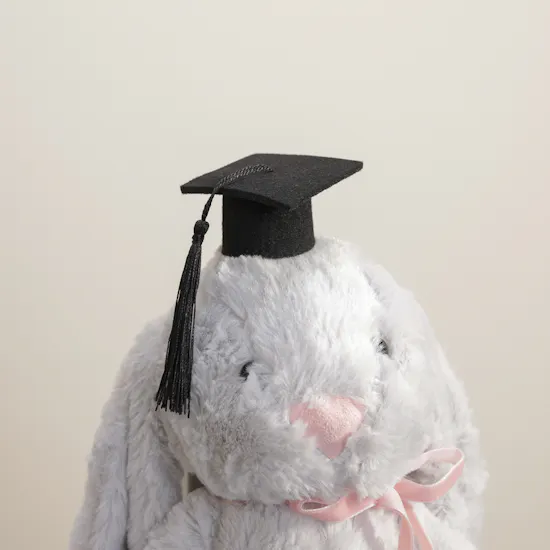 BearHug Boo Graduation Bunny Toy