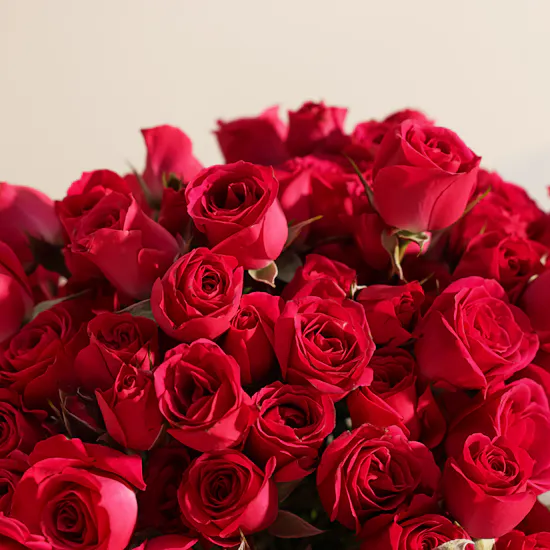 Abdul Samad Al Qurashi Luxury Gift Box | Fuchsia Baby Roses Vase