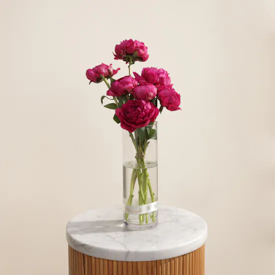 Peony Royal Fuchsia Vase