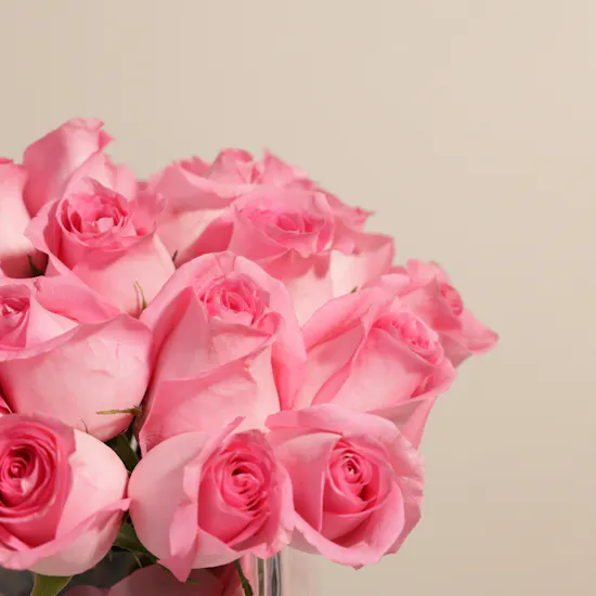 Torta & More Exquisite Cake | Cheerful Flowers