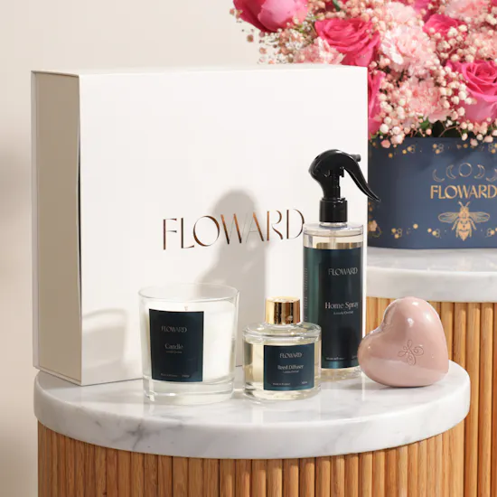 Floward Lovely Orchid Elegant Home Set | Colorful Flower Box