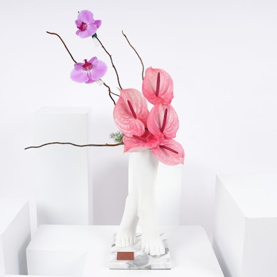 Pink Anthurium | Ballerina Vase