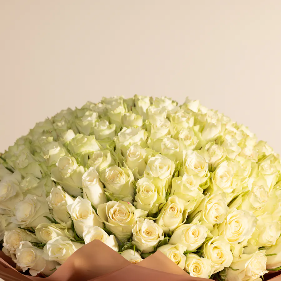 Huge White Rose Bouquet  3