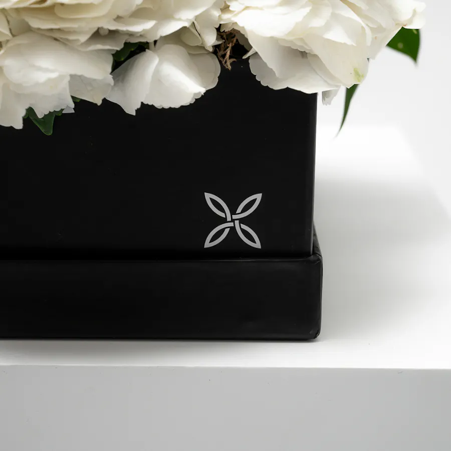 Simple Elegance Box  1