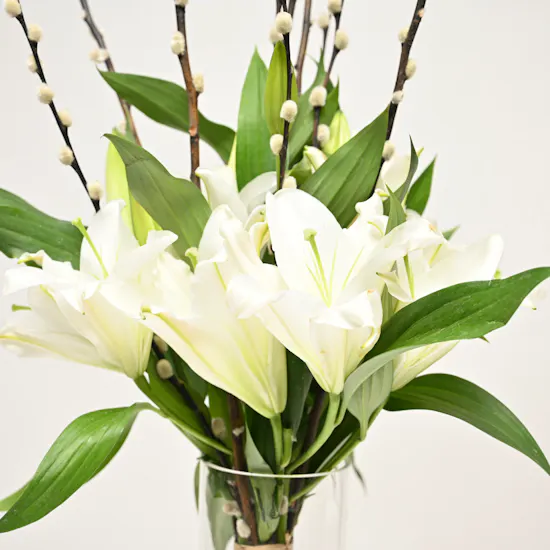 Lillies by Khulood