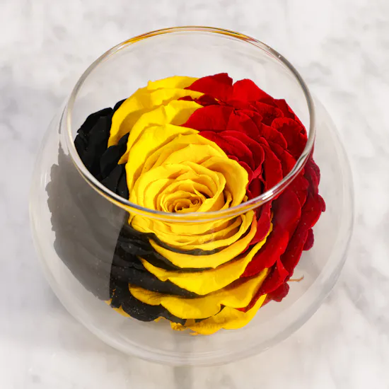 Bold Look Preserved Rose Vase