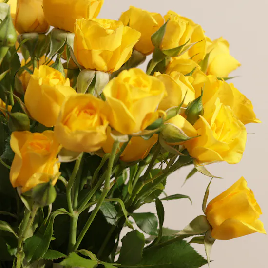 Golden Baby Rose Vase