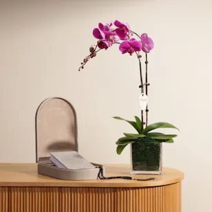 Quran & Misbaha Set | Orchid Plant 