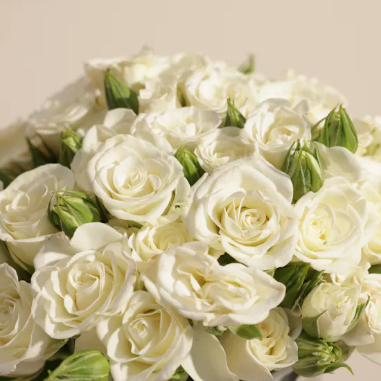 Pure White Baby Roses Vase | 18 Flowers