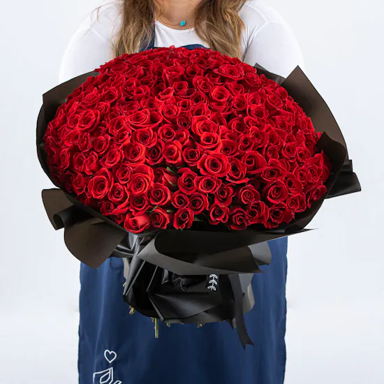 Showstopper | 250 Rose