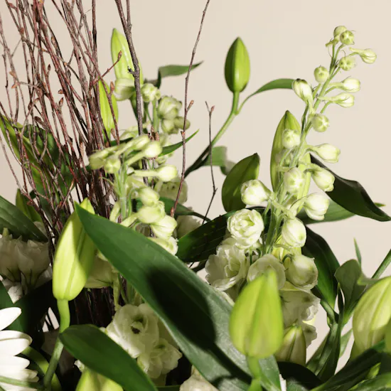 Whispers of White Flowers Vase