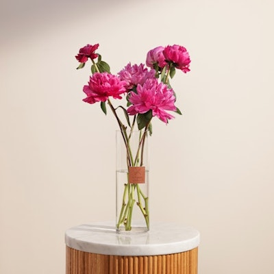 Fuchsia Peony | Glass Vase