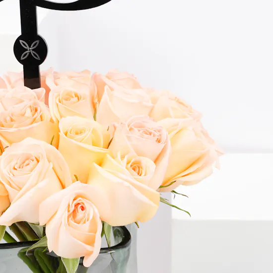 Hanoverian Caramel Chocolate | Vase