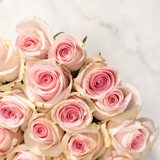 Floward Baby Girl Bento Cake | Pink Pretty Roses