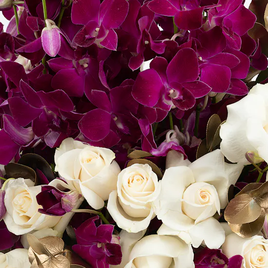 Twilight | Roses & Orchid