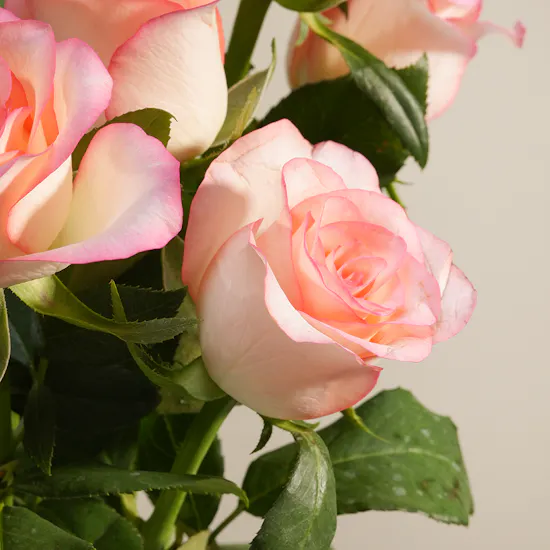 Strawberry Blush Flower Vase