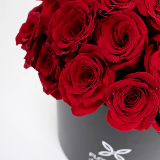 Red Roses | Black Box