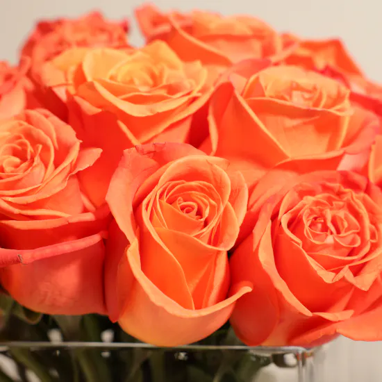 Orange Roses Vase | 35 Flowers